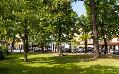 Attività economiche e promozione della città