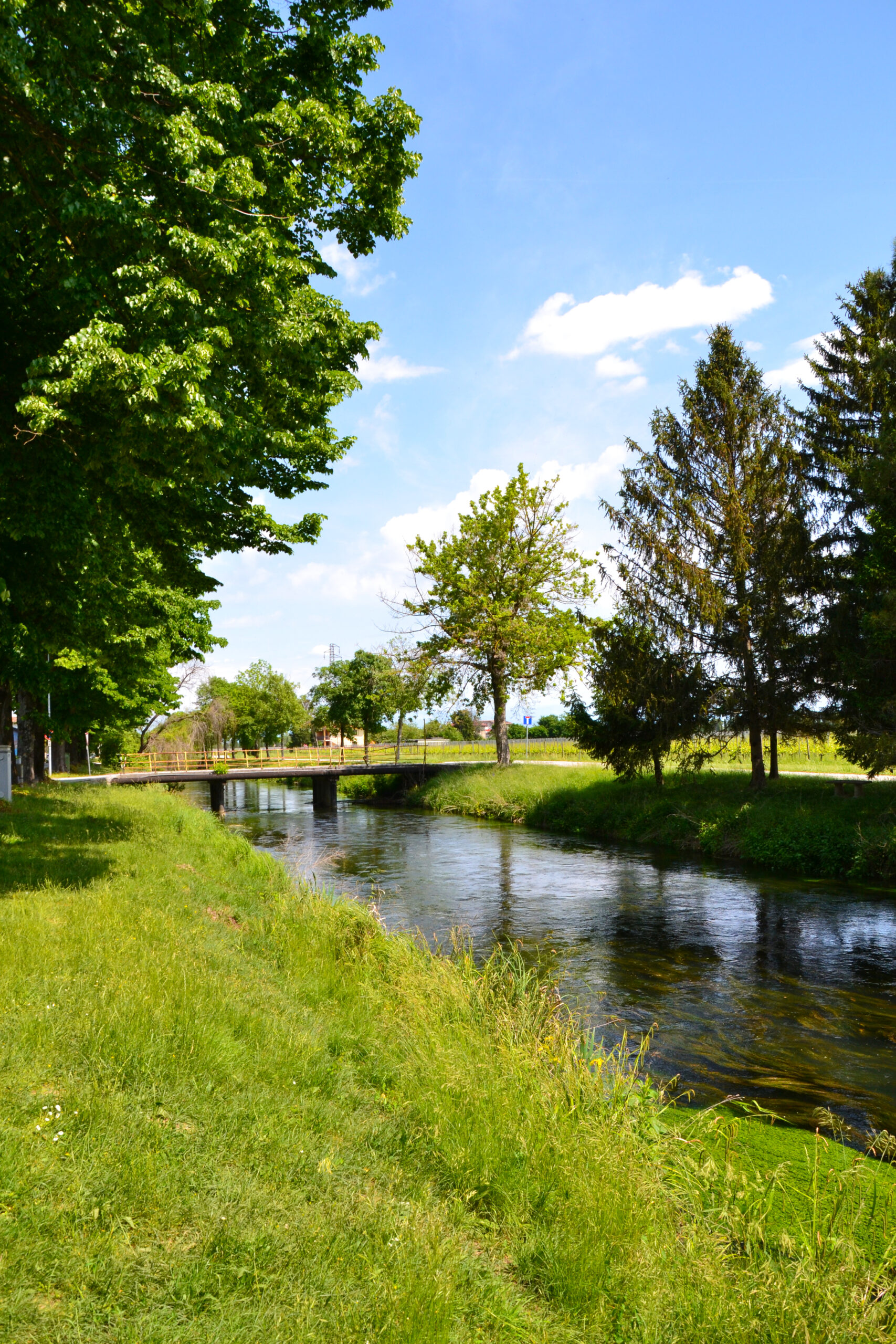 Il fiume Taglio a Muscoli
