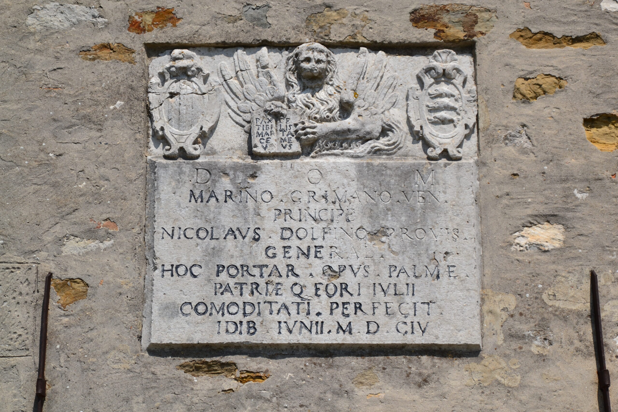Muscoli