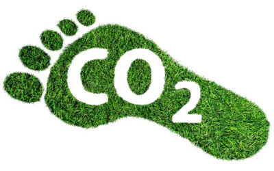 CervignanoVale per l’ambiente