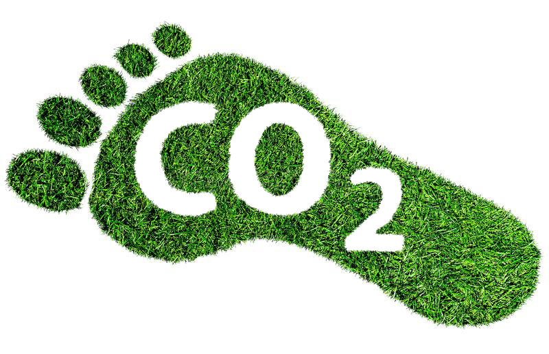Impronta carbonica