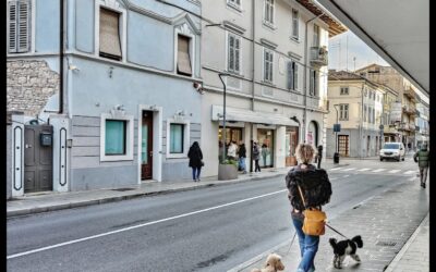 Distretto del commercio, un treno già passato?